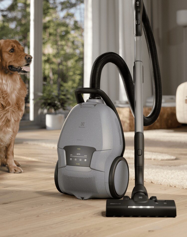 Electrolux vacuum cleaner in a living room with a woman and dog.